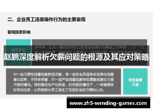 赵鹏深度解析欠薪问题的根源及其应对策略